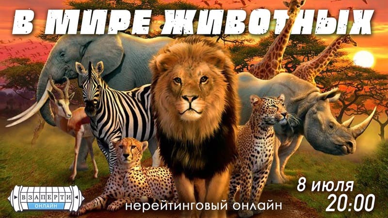 Онлайн-квест «В мире животных»