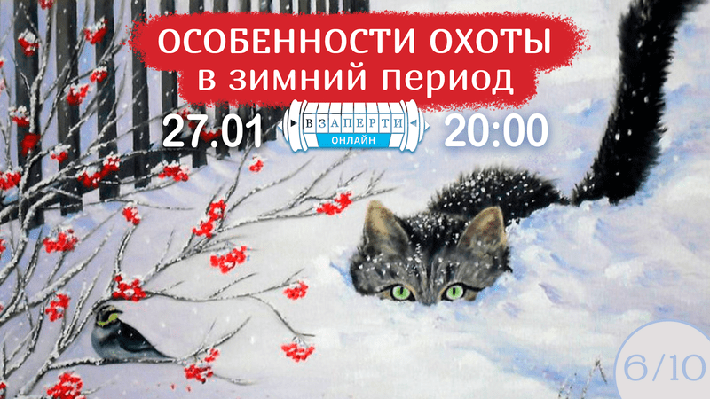 Онлайн-квест "Особенности охоты в зимний период"