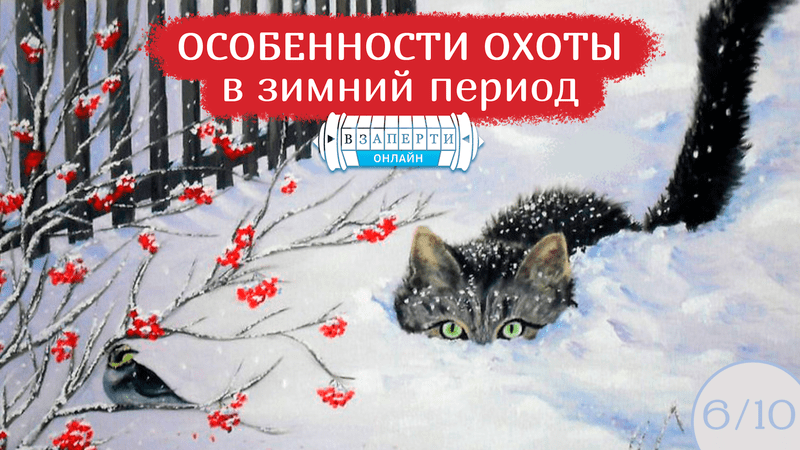 Онлайн-квест "Особенности охоты в зимний период"