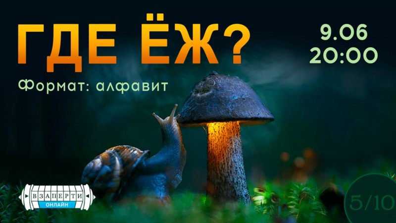 ГДЕ ЁЖ?